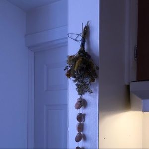 Meet your Posher, Izzy